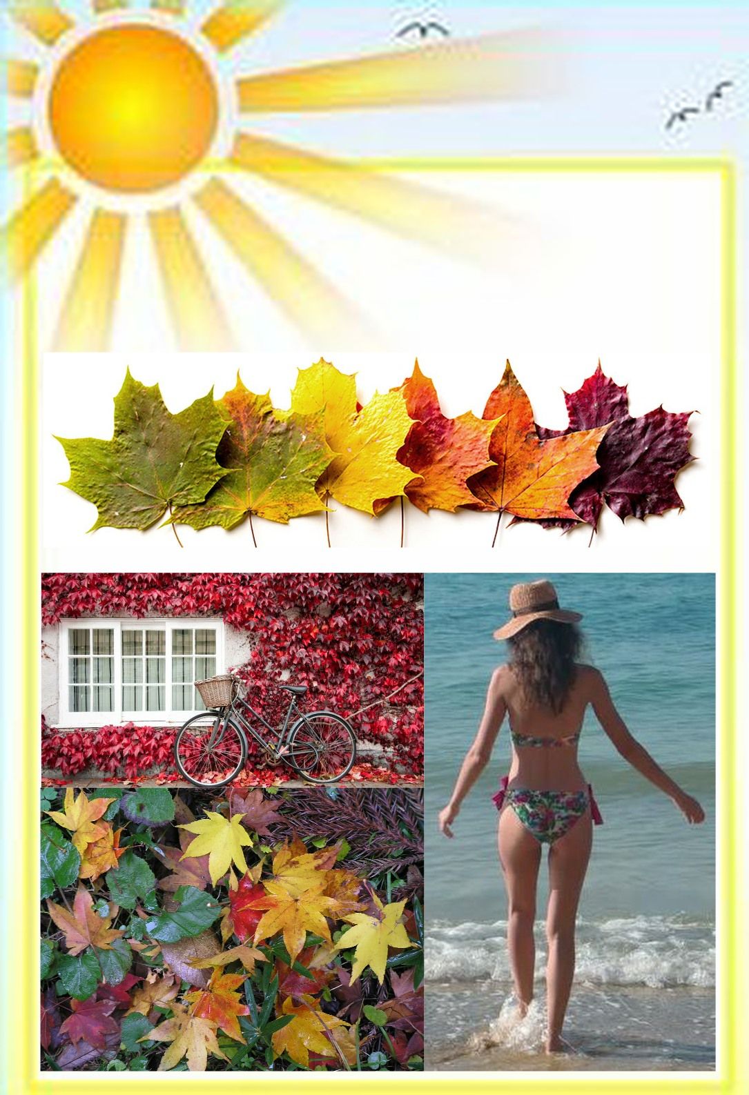 Commence Visualizing! width=