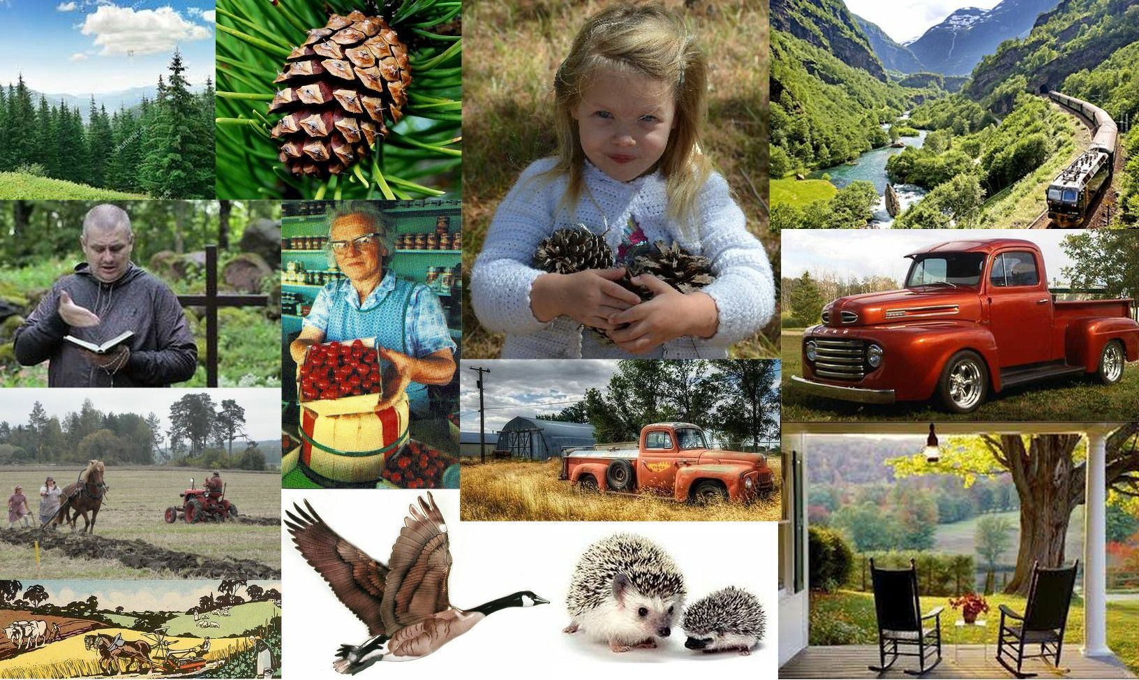 Commence Visualizing! width=