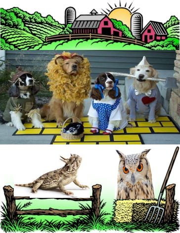 Commence Visualizing! width=