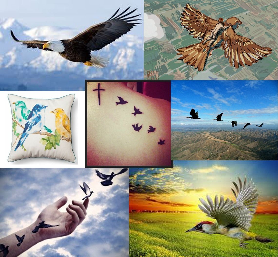 Commence Visualizing! width=