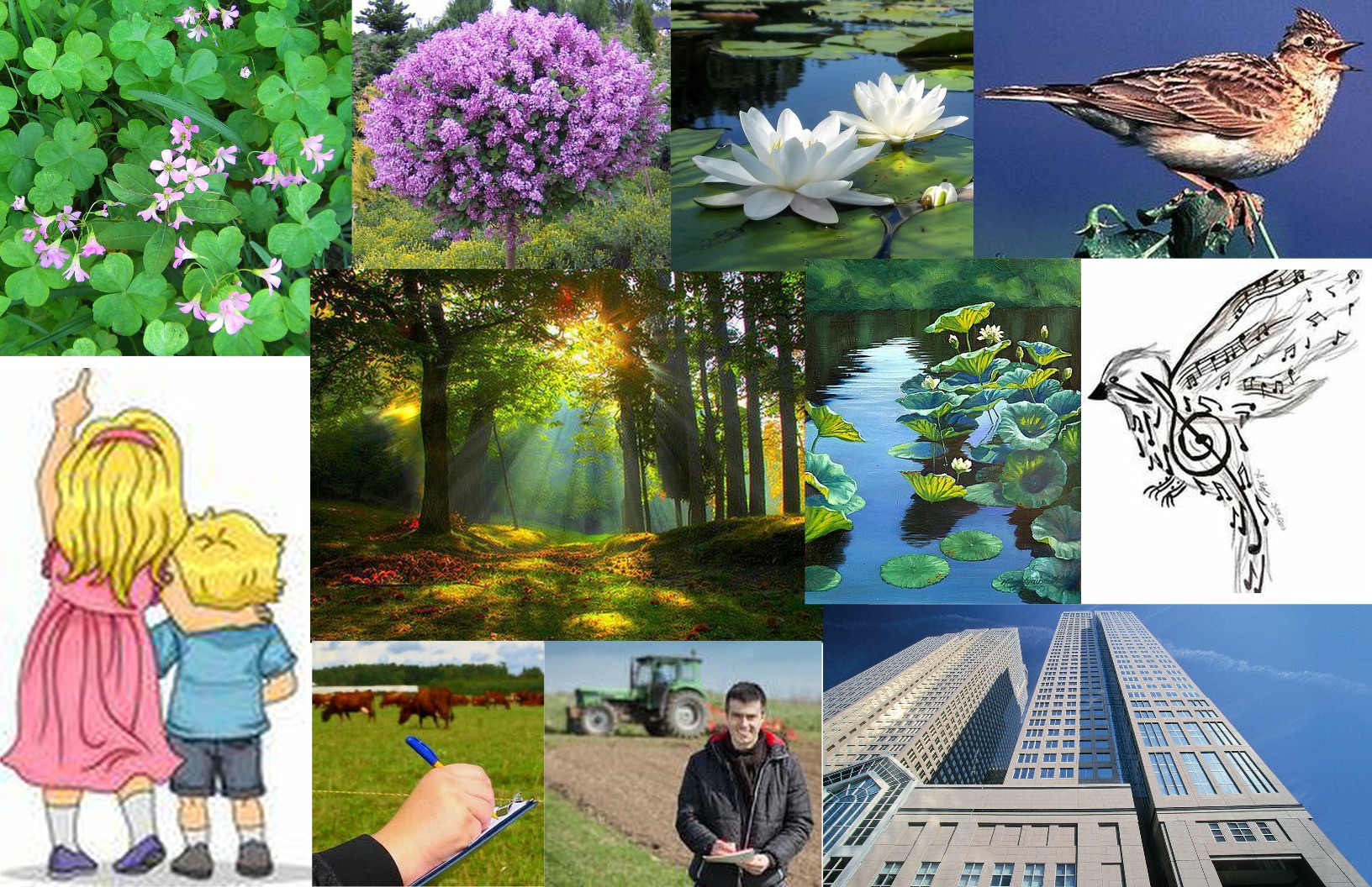 Commence Visualizing! width=