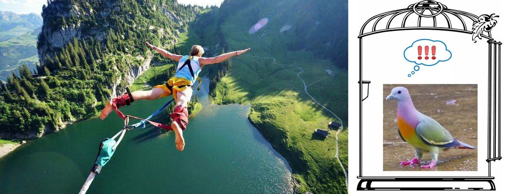 Commence Visualizing! width=